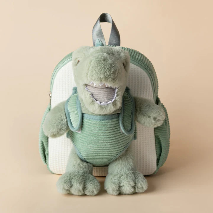 Dinosaur Bag