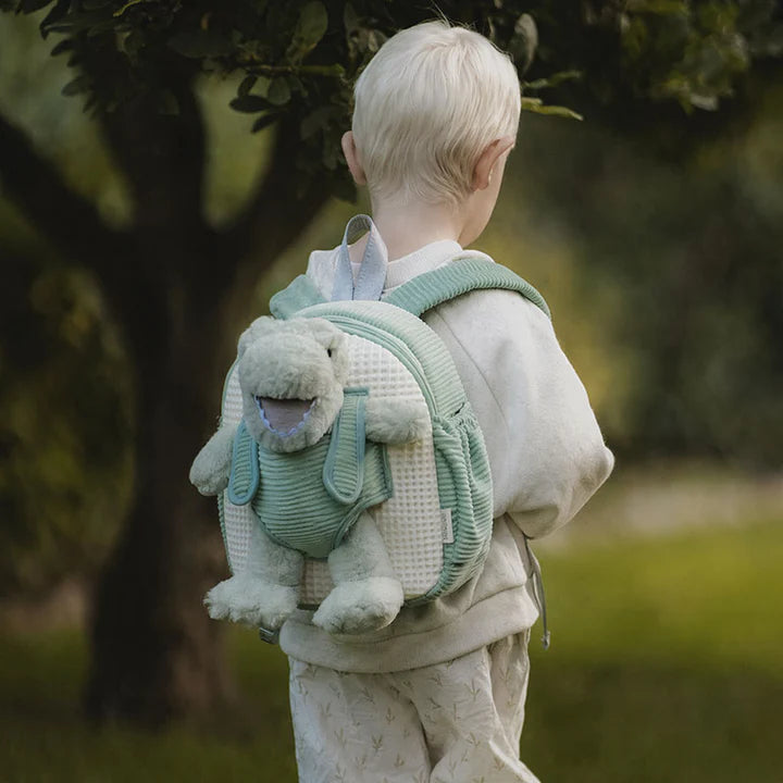 Dinosaur Bag
